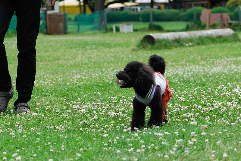 DSC_5145.jpg