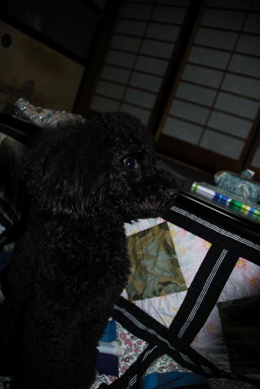 DSC_5191.jpg