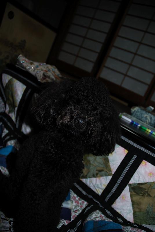 DSC_5192.jpg