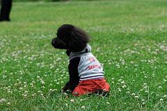 DSC_5147