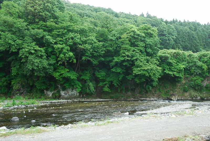 DSC_5204.jpg