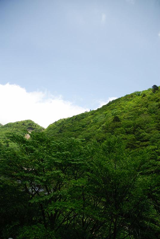 DSC_5210.jpg