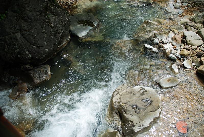 DSC_5216.jpg