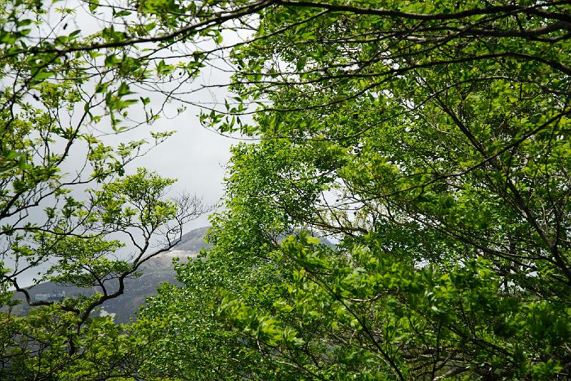 DSC_5236.jpg