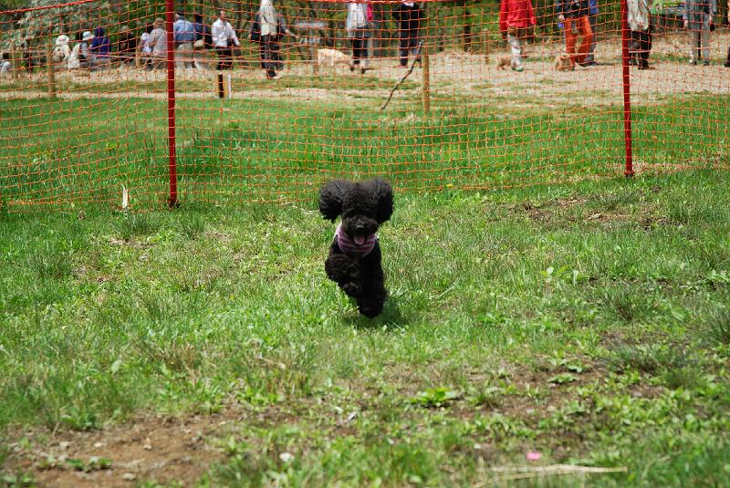 DSC_5243.jpg