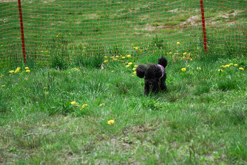 DSC_5246.jpg