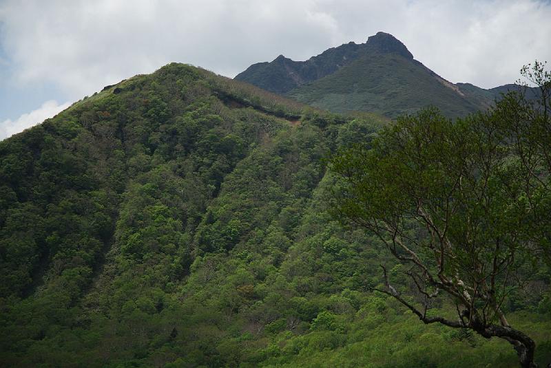 DSC_5266.jpg