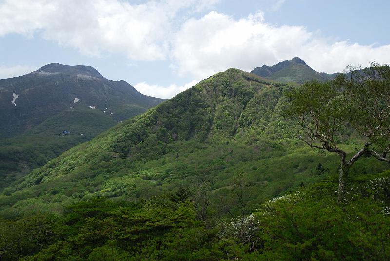 DSC_5268.jpg