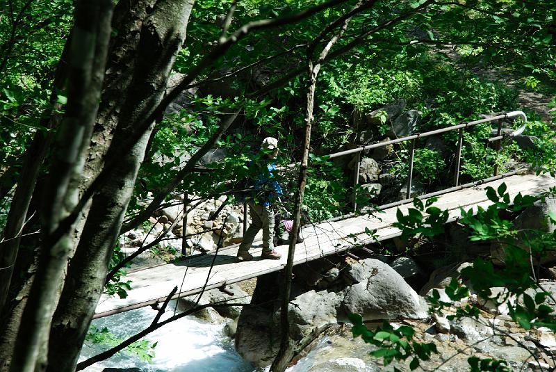 DSC_5275.jpg
