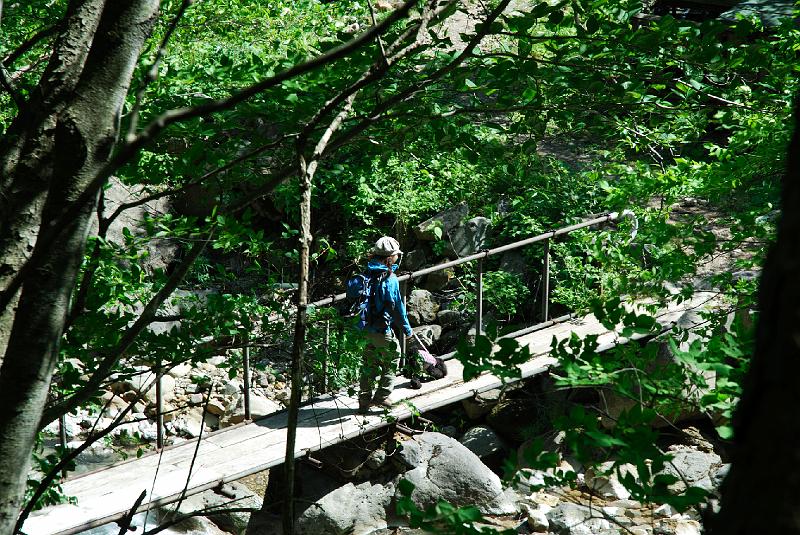 DSC_5277.jpg