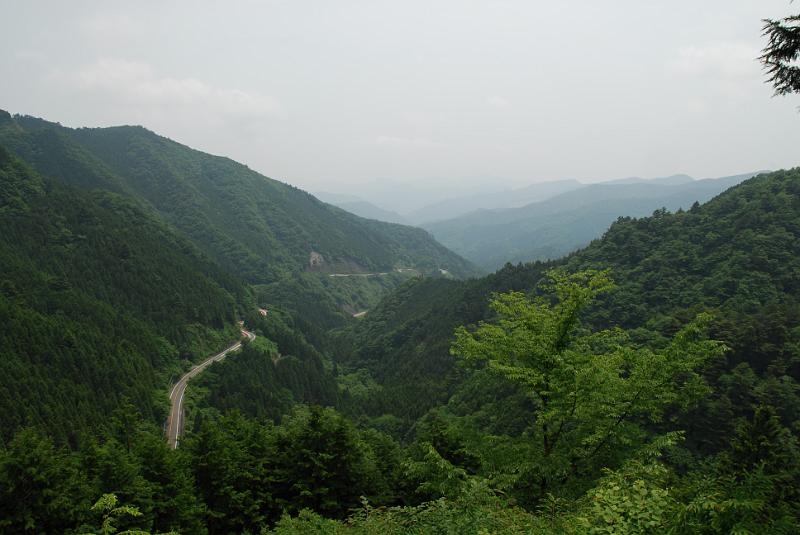 DSC_5392.JPG