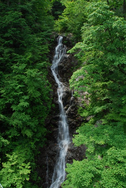 DSC_5395.JPG