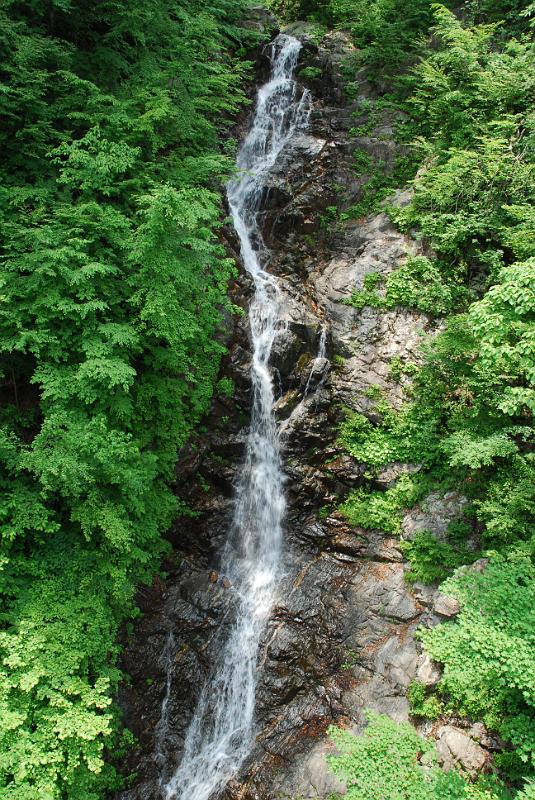 DSC_5397.JPG