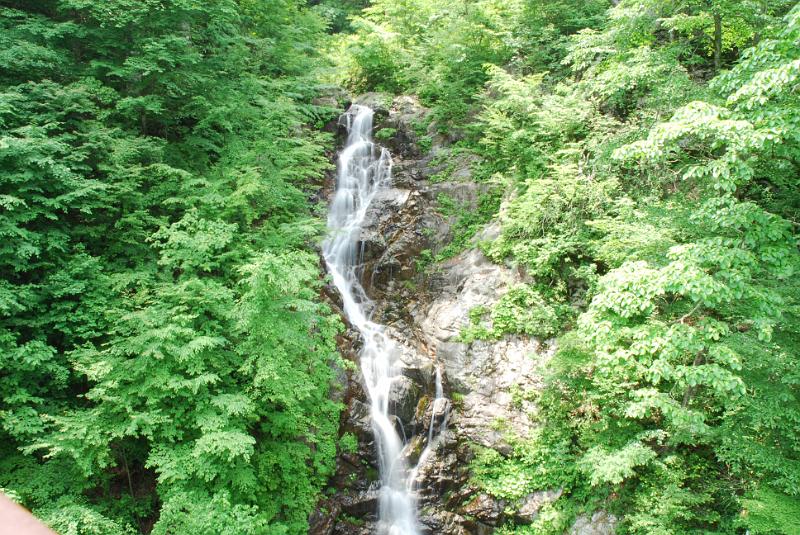 DSC_5398.JPG