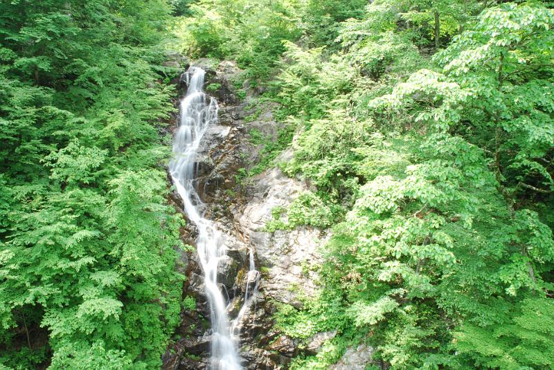 DSC_5399.JPG