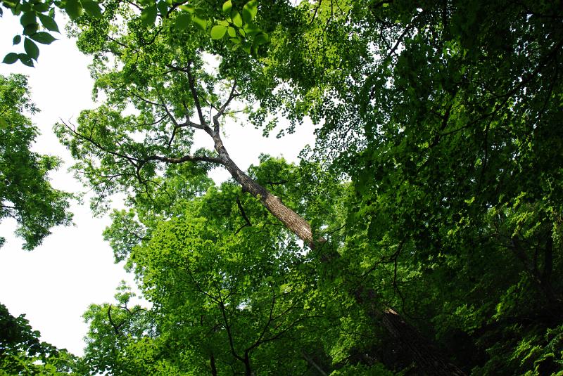 DSC_5408.JPG
