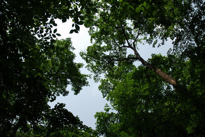 DSC_5409.JPG