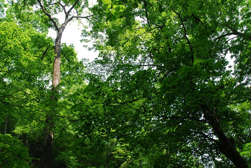DSC_5410.JPG