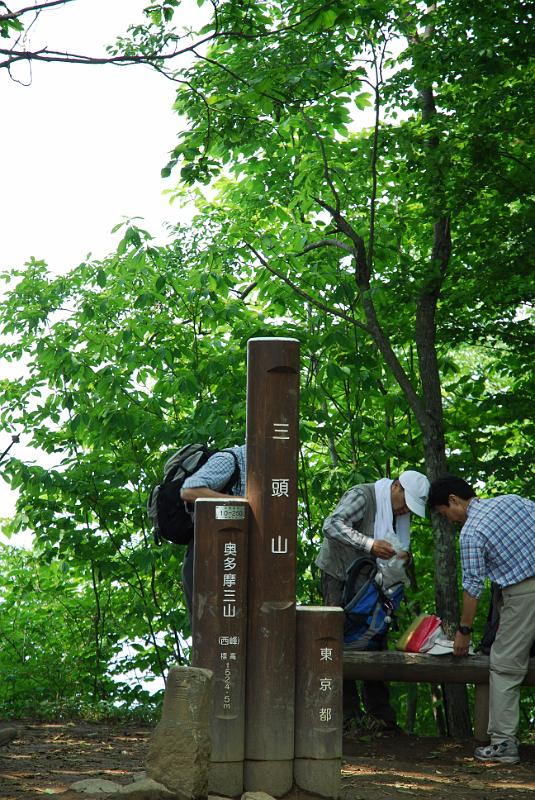 DSC_5415.JPG