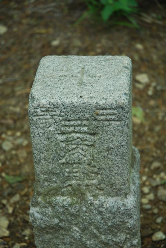 DSC_5426.JPG