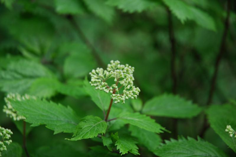 DSC_5430.JPG