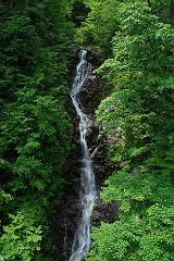 DSC_5395