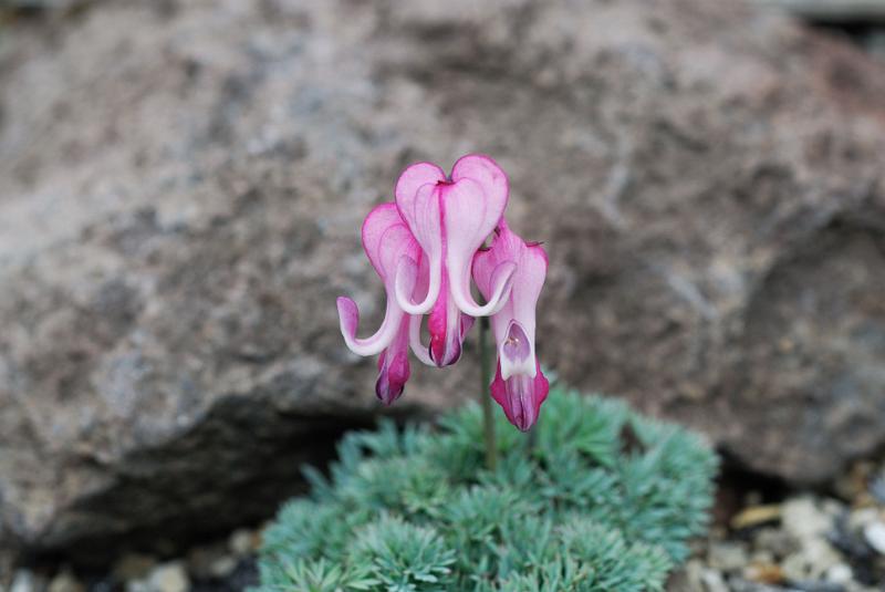 DSC_5497.jpg