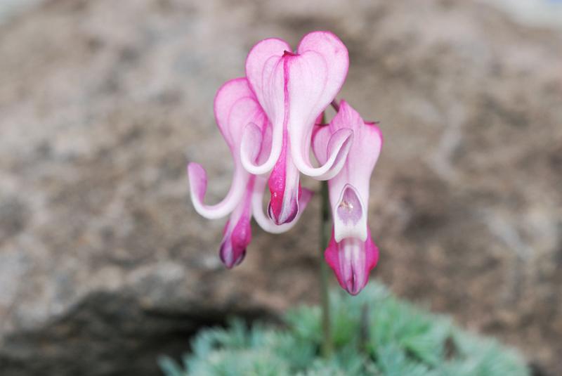 DSC_5500.jpg