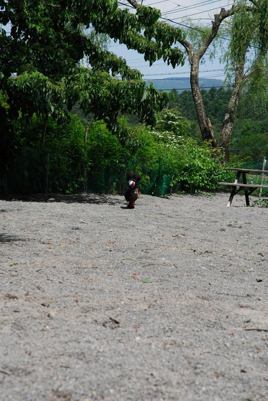 DSC_5515.jpg