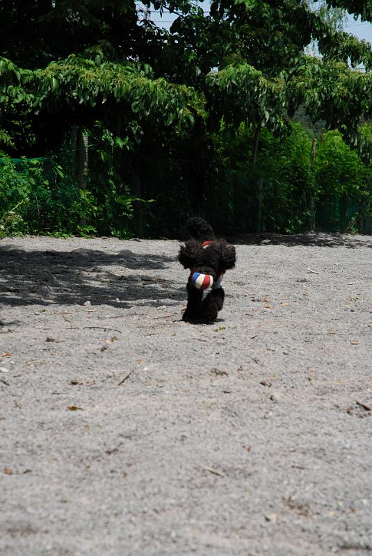 DSC_5517.jpg