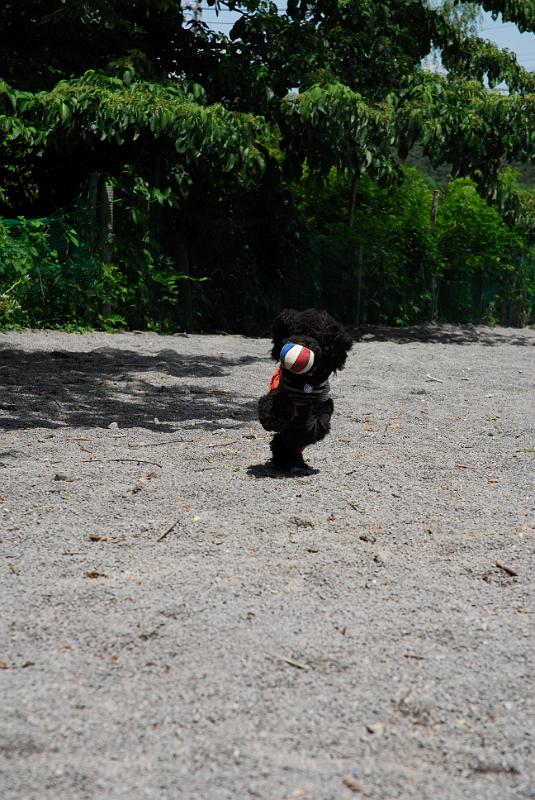 DSC_5518.jpg