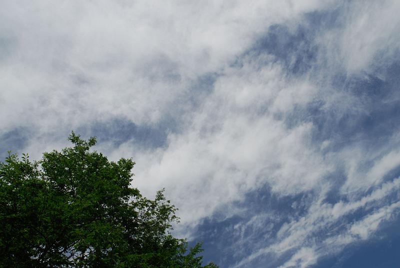 DSC_5556.jpg