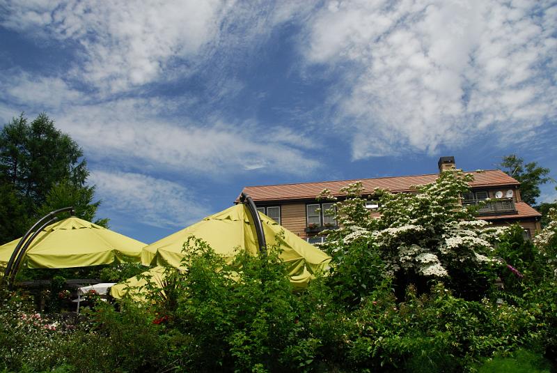 DSC_5576.jpg