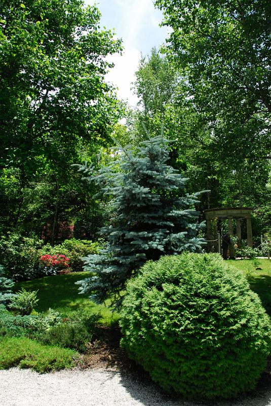 DSC_5601.jpg