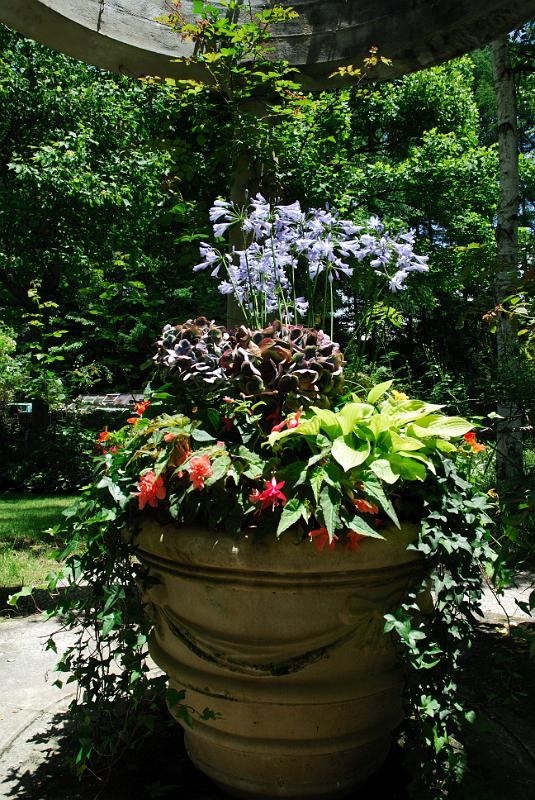 DSC_5603.jpg