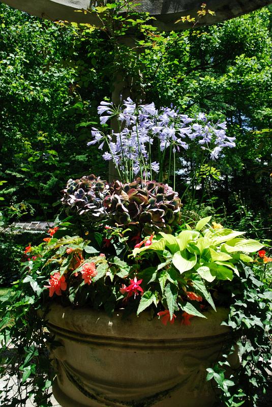 DSC_5604.jpg