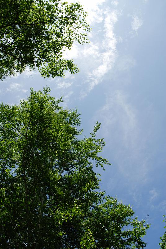 DSC_5606.jpg