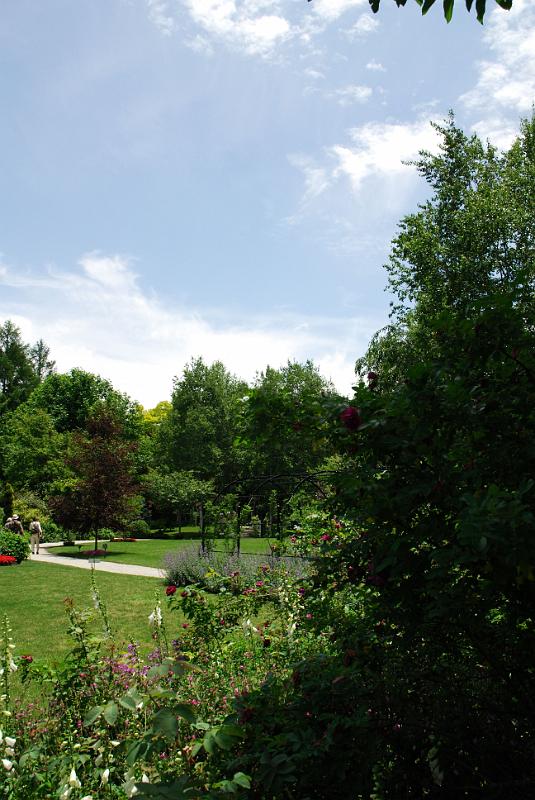 DSC_5617.jpg