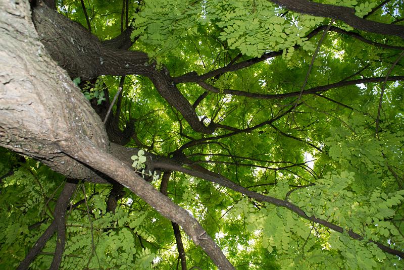 DSC_5633.jpg