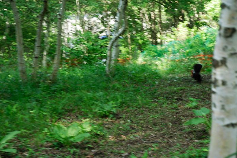 DSC_5675.jpg