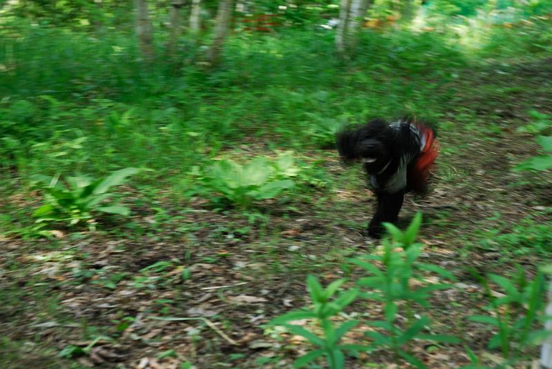 DSC_5677.jpg