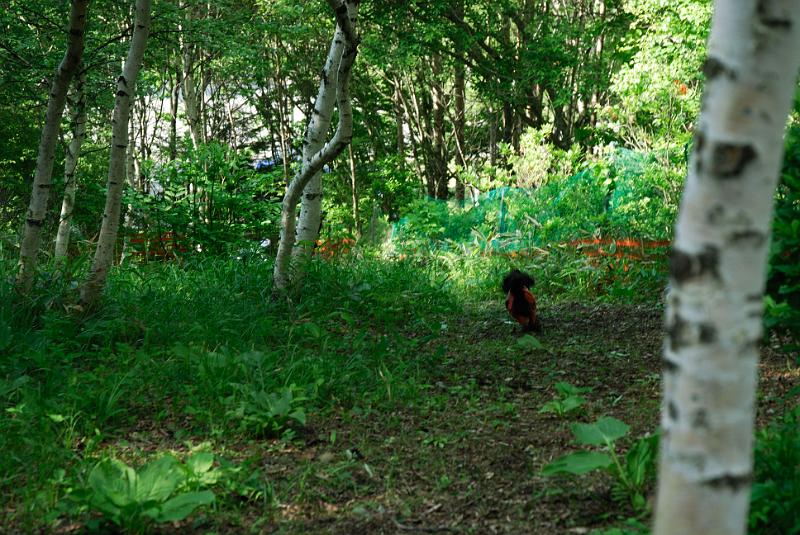 DSC_5678.jpg