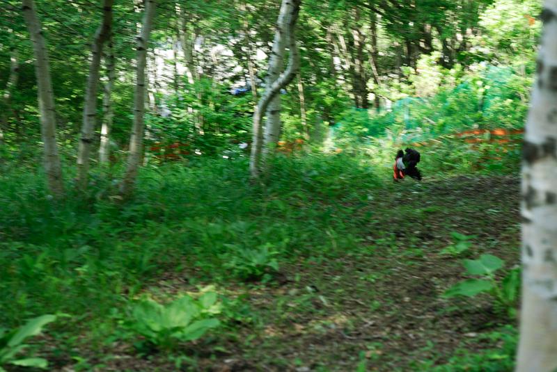 DSC_5679.jpg