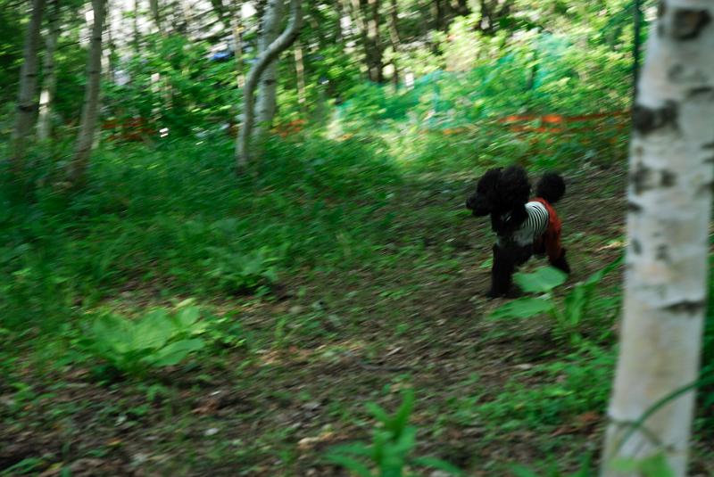 DSC_5681.jpg