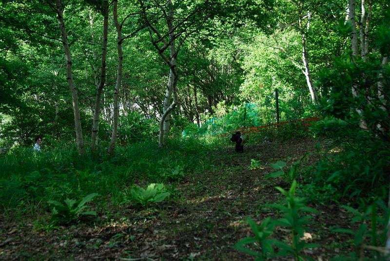 DSC_5694.jpg