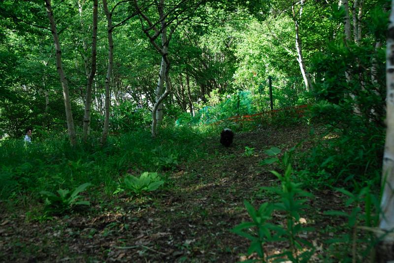 DSC_5695.jpg