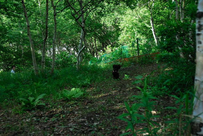 DSC_5696.jpg