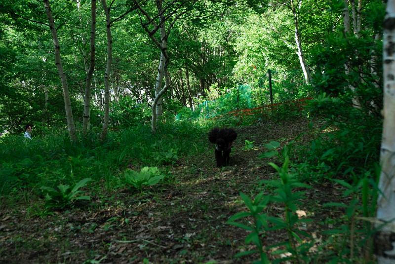 DSC_5697.jpg