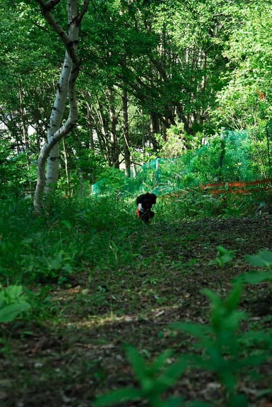 DSC_5700.jpg