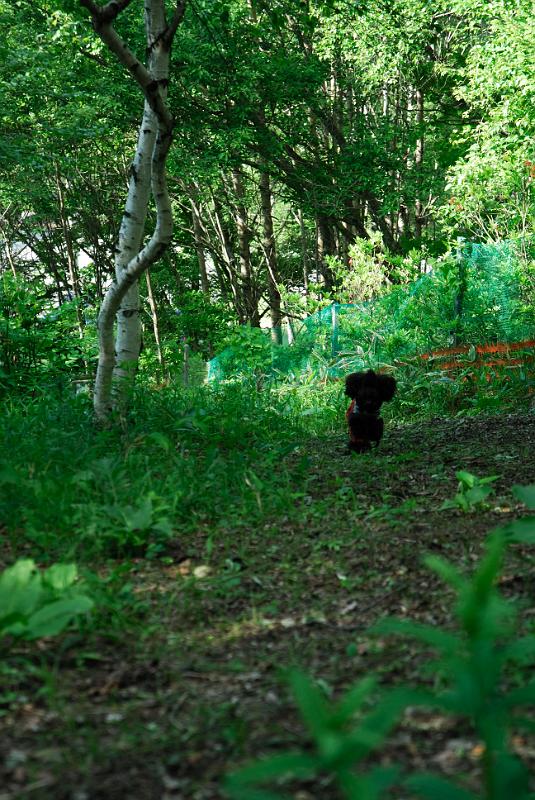 DSC_5701.jpg